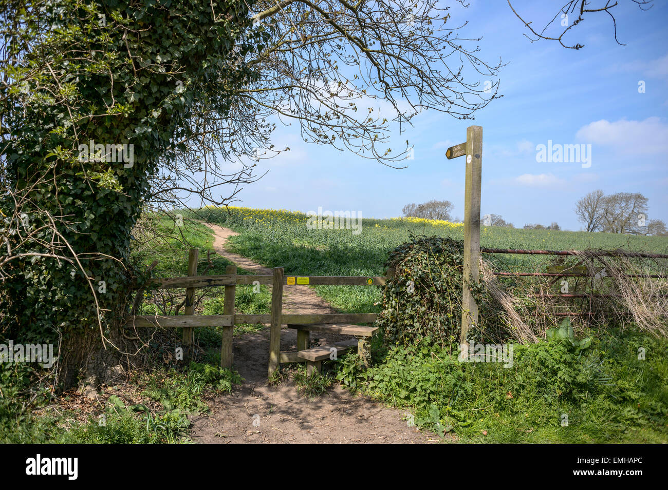Di legno sentiero pubblico segno con stile in un recinto con il percorso in background, attraversando i campi, rurale Yorkshire, Regno Unito Foto Stock