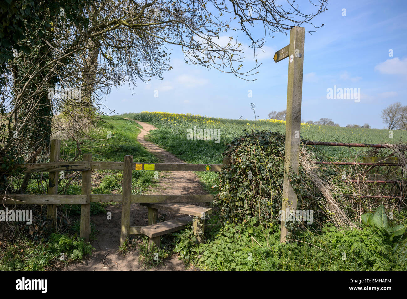 Di legno sentiero pubblico segno con stile in un recinto con il percorso in background, attraversando i campi, rurale Yorkshire, Regno Unito Foto Stock