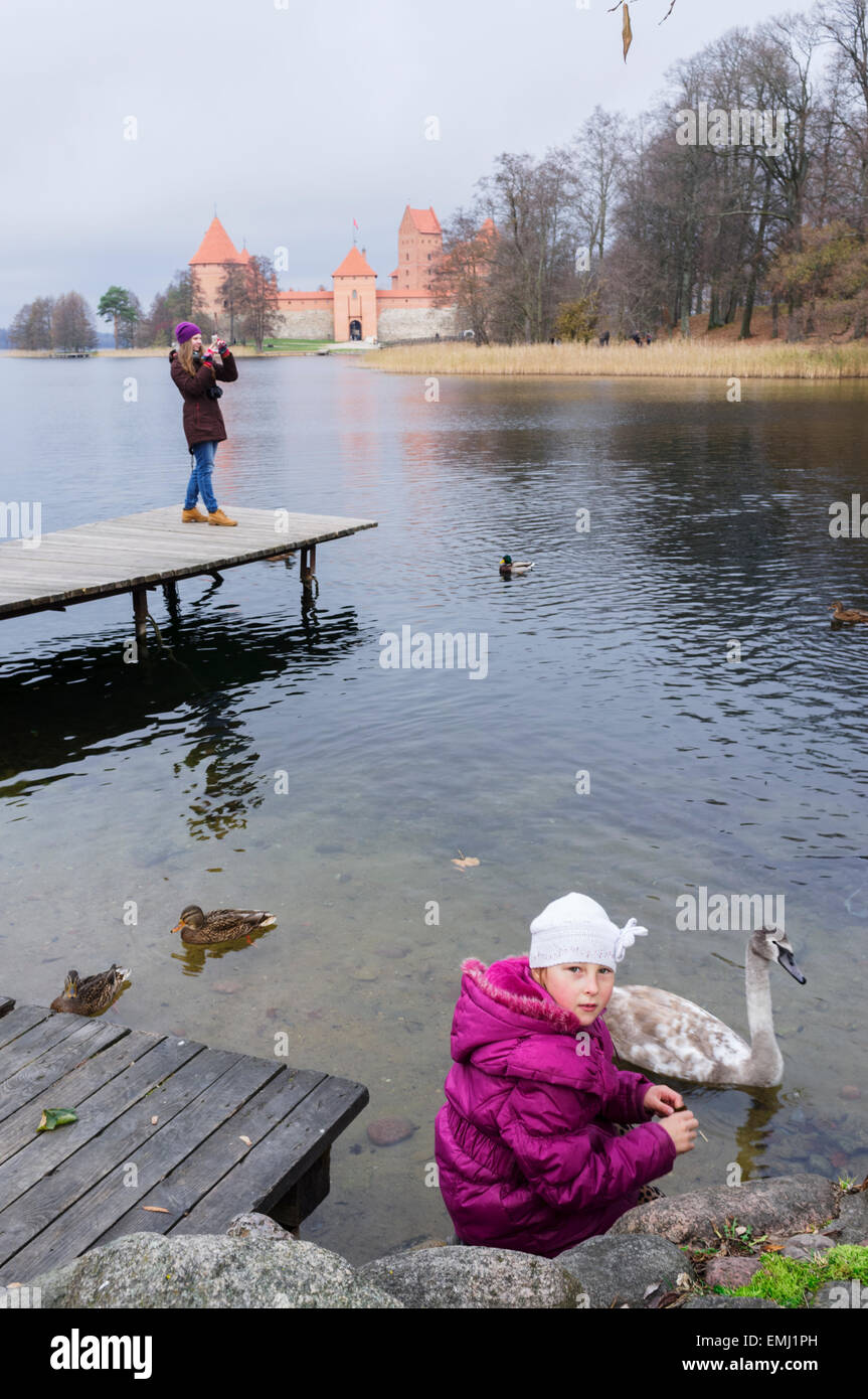 Bambino guardando i cigni sul Lago di Galve in autunno. Trakai, Lituania Foto Stock