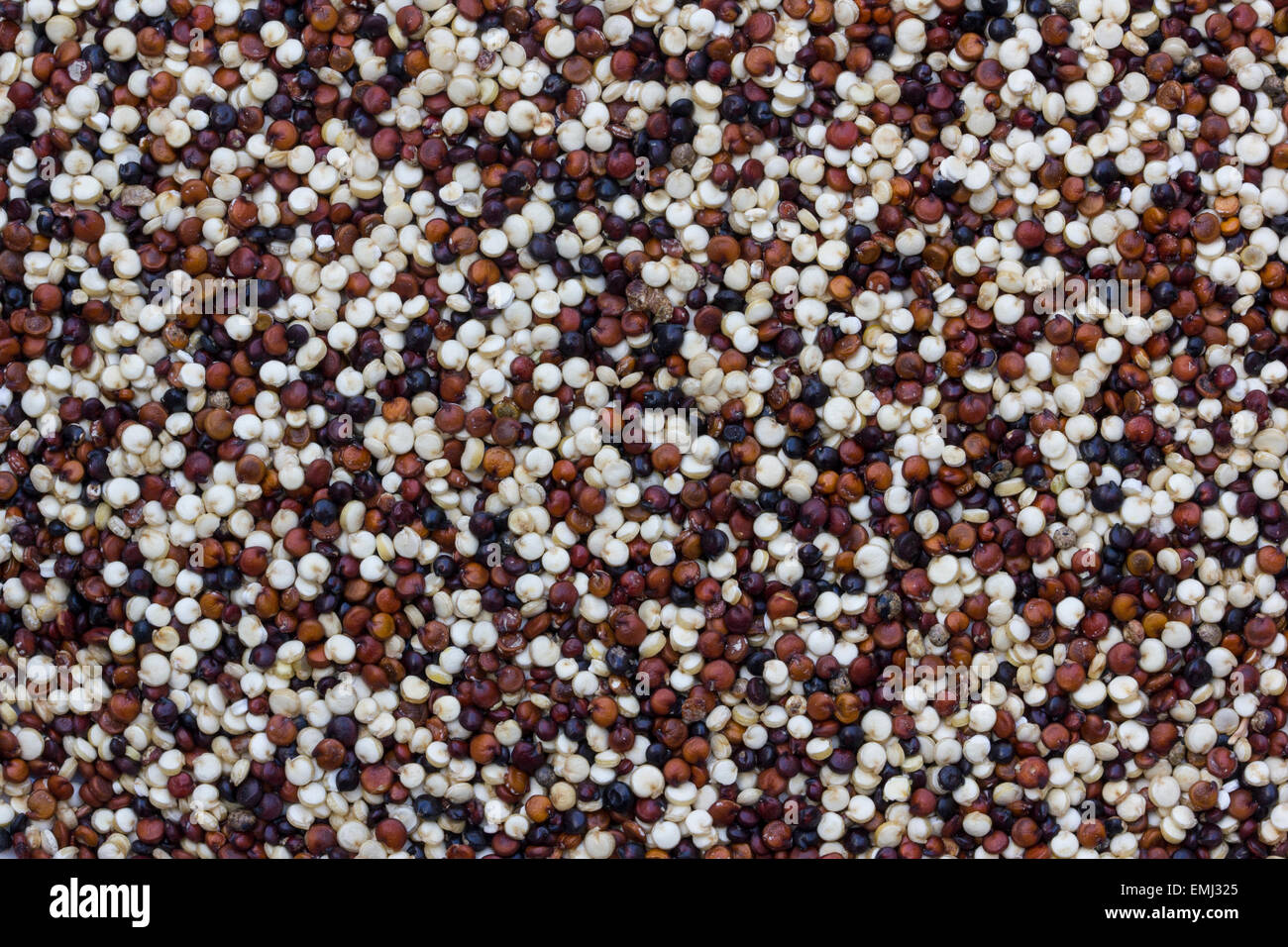 Close-up di quinoa in tre colori Foto Stock