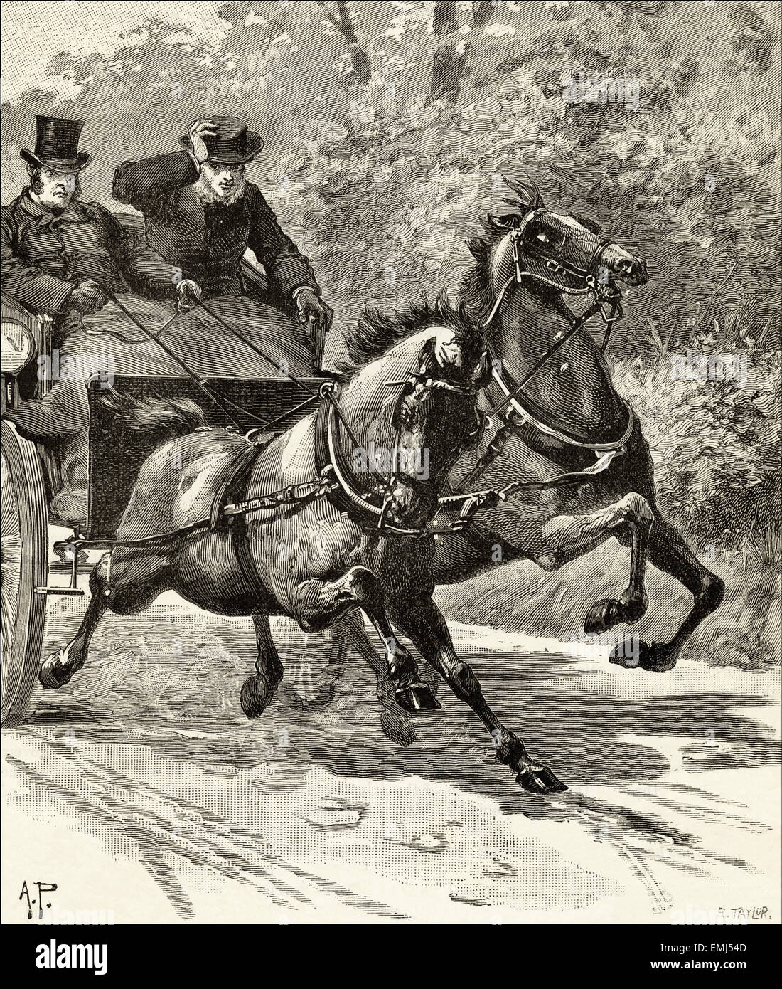 Cavalli al galoppo con il carrello. Victorian xilografia incisione datata 1890 Foto Stock