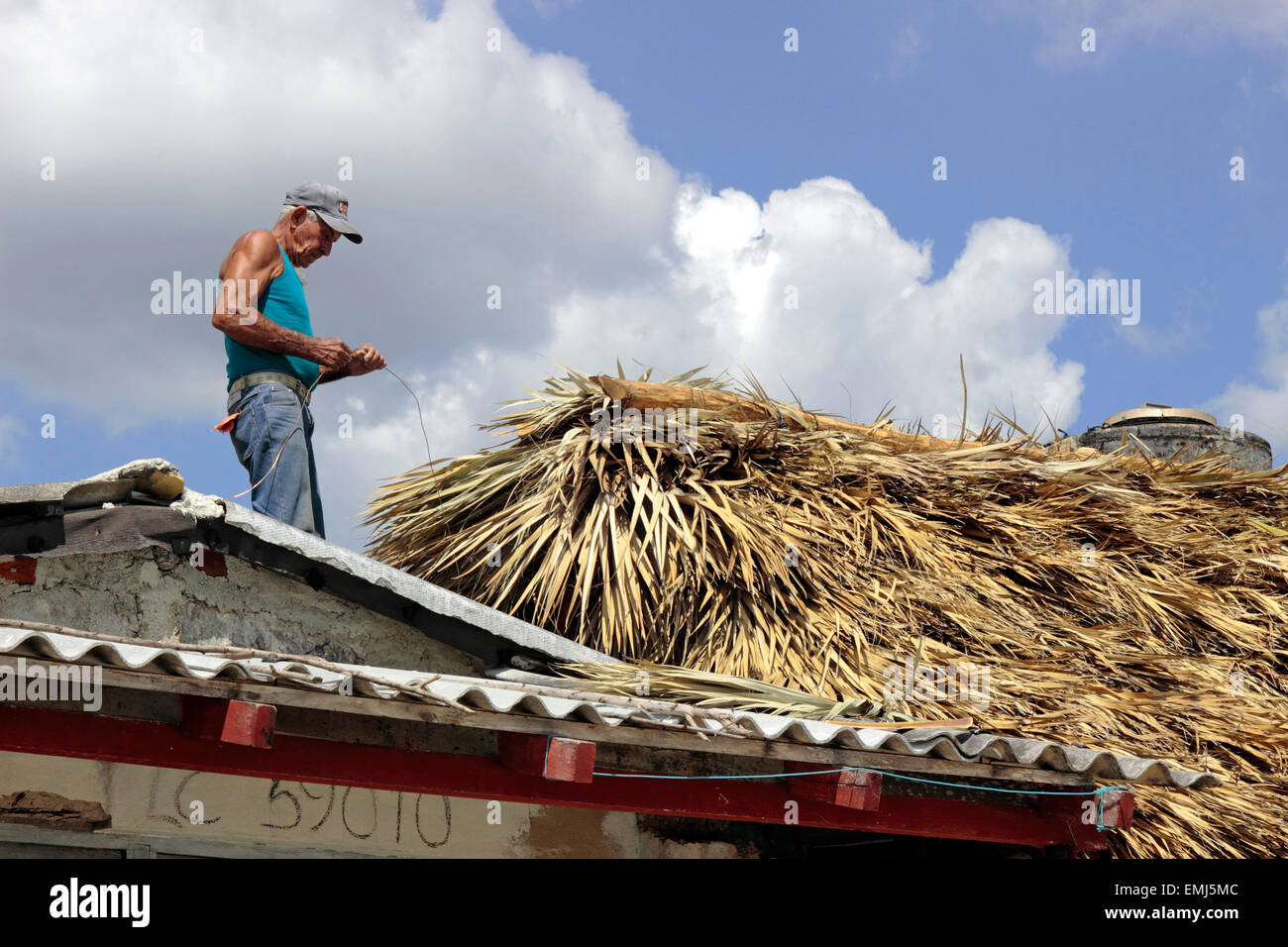 Uomo anziano lavora su un tetto di paglia di una casa al mare sulla spiaggia di Penisola di Zapata Cuba Foto Stock