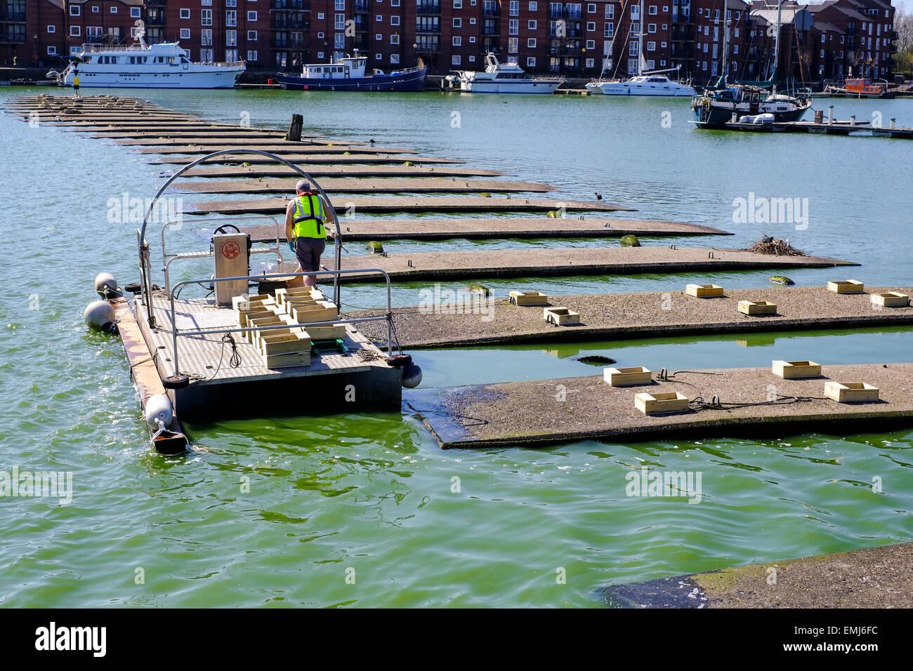 Preston, Lancashire: di legno Tern vassoi sono stabiliti in Preston Marina a incoraggiare la colonia Tern a nido. Foto Stock