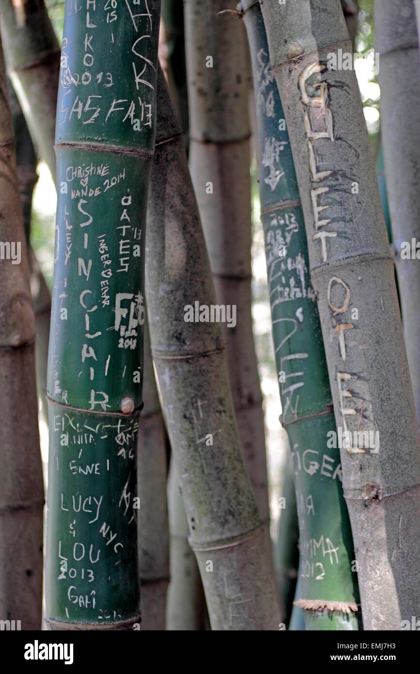 Ernest Hemingway house Finca La Vigia vicino a L'Avana Cuba Foto Stock