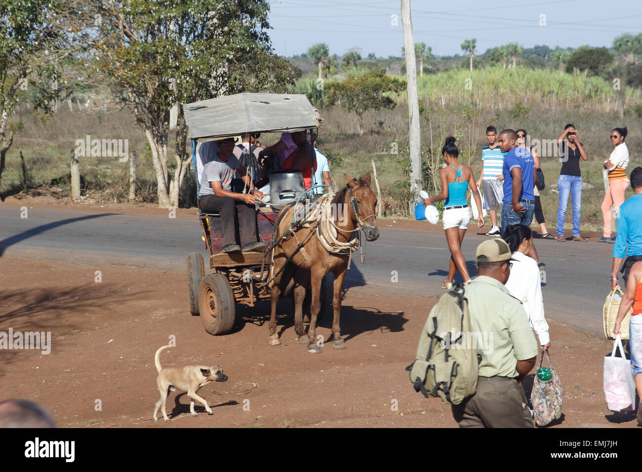 Fermata bus con cavallo e taxi penisola di Zapata Cuba Foto Stock
