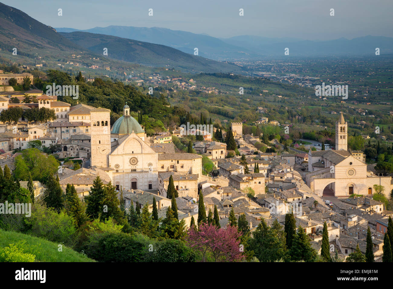 Vista su Assisi, Umbria, Italia Foto Stock
