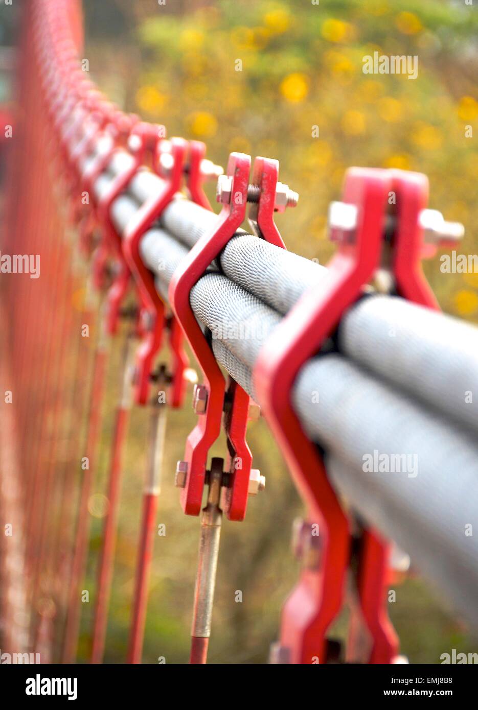 Il primo piano del fascio cavi sul ponte di sospensione Foto Stock