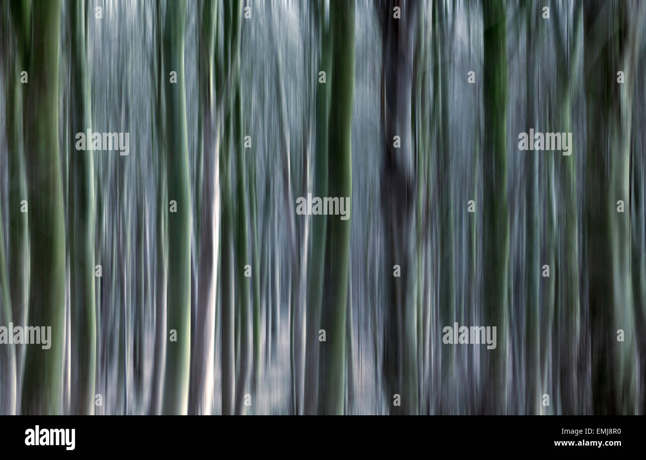 Tronchi di alberi con aggiunta di motion blur. Foto Stock