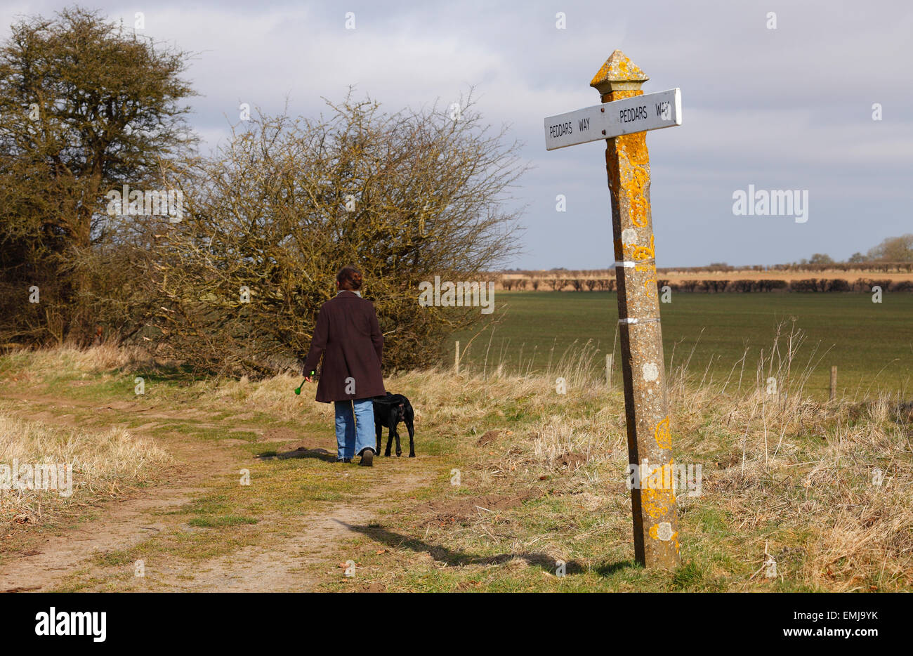La donna e il suo cane a piedi la Peddar modo vicino Anmer in Norfolk. Foto Stock