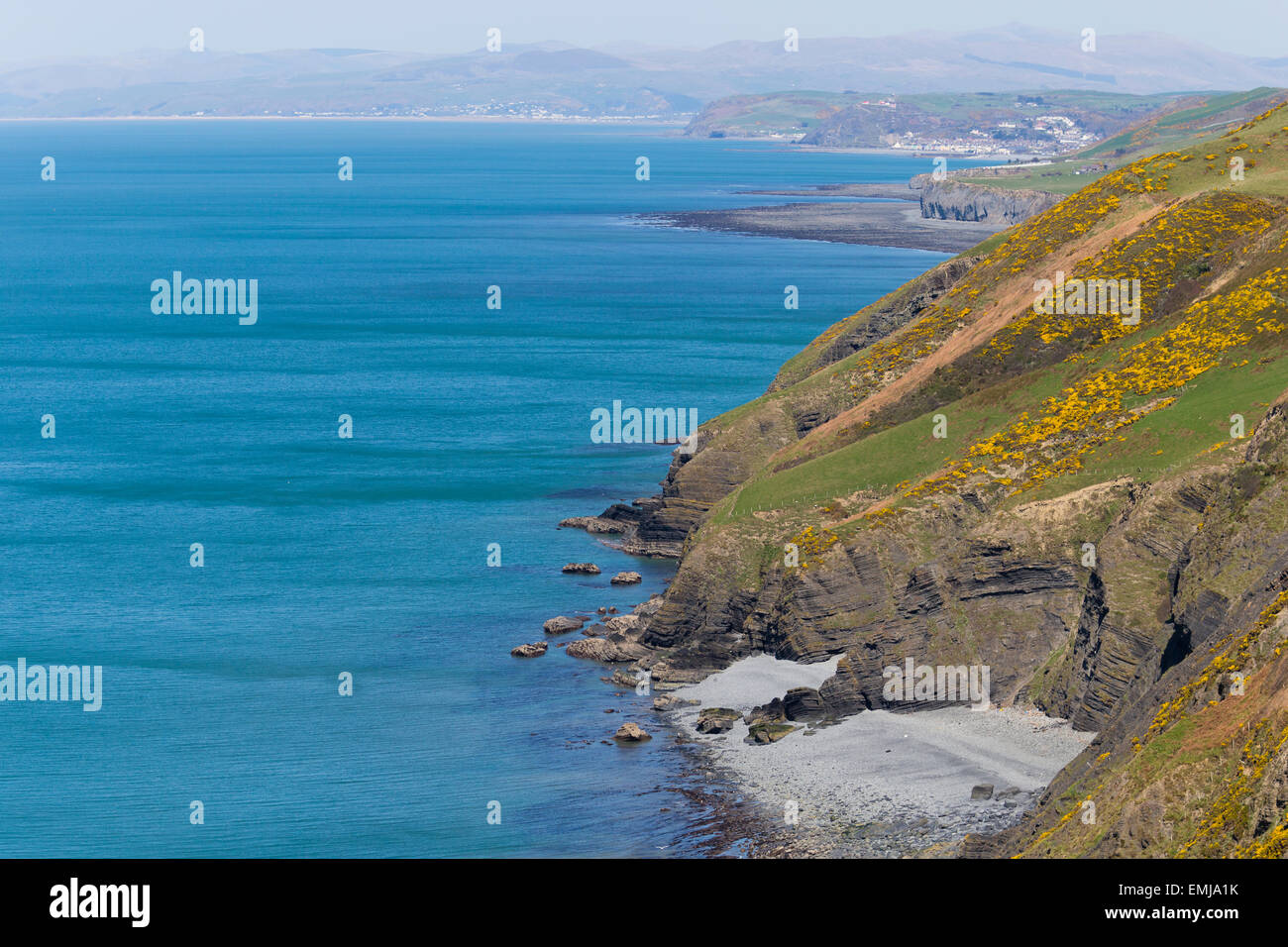 Guardando a Nord verso Borth e Aberystwyth dal Ceredigion Sentiero costiero Foto Stock