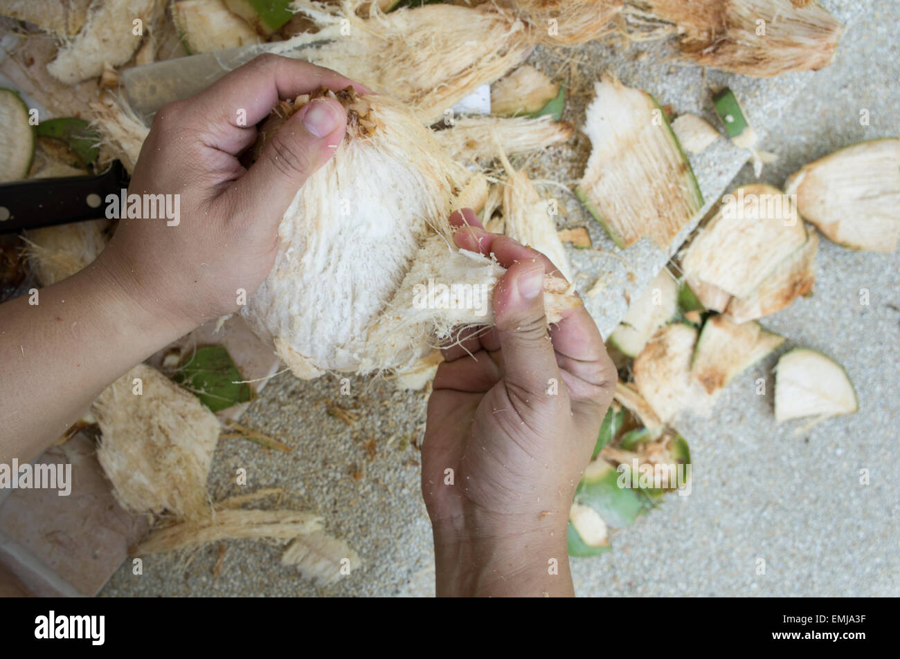 Drink di cocco strappare frutto all'interno di peel Foto Stock