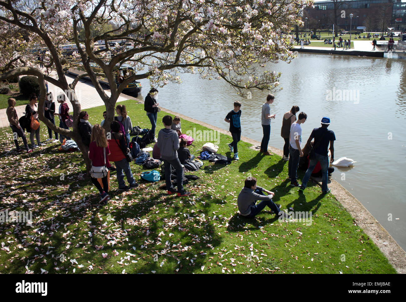 Gli studenti stranieri in Bancroft giardini, Stratford-upon-Avon, Regno Unito Foto Stock