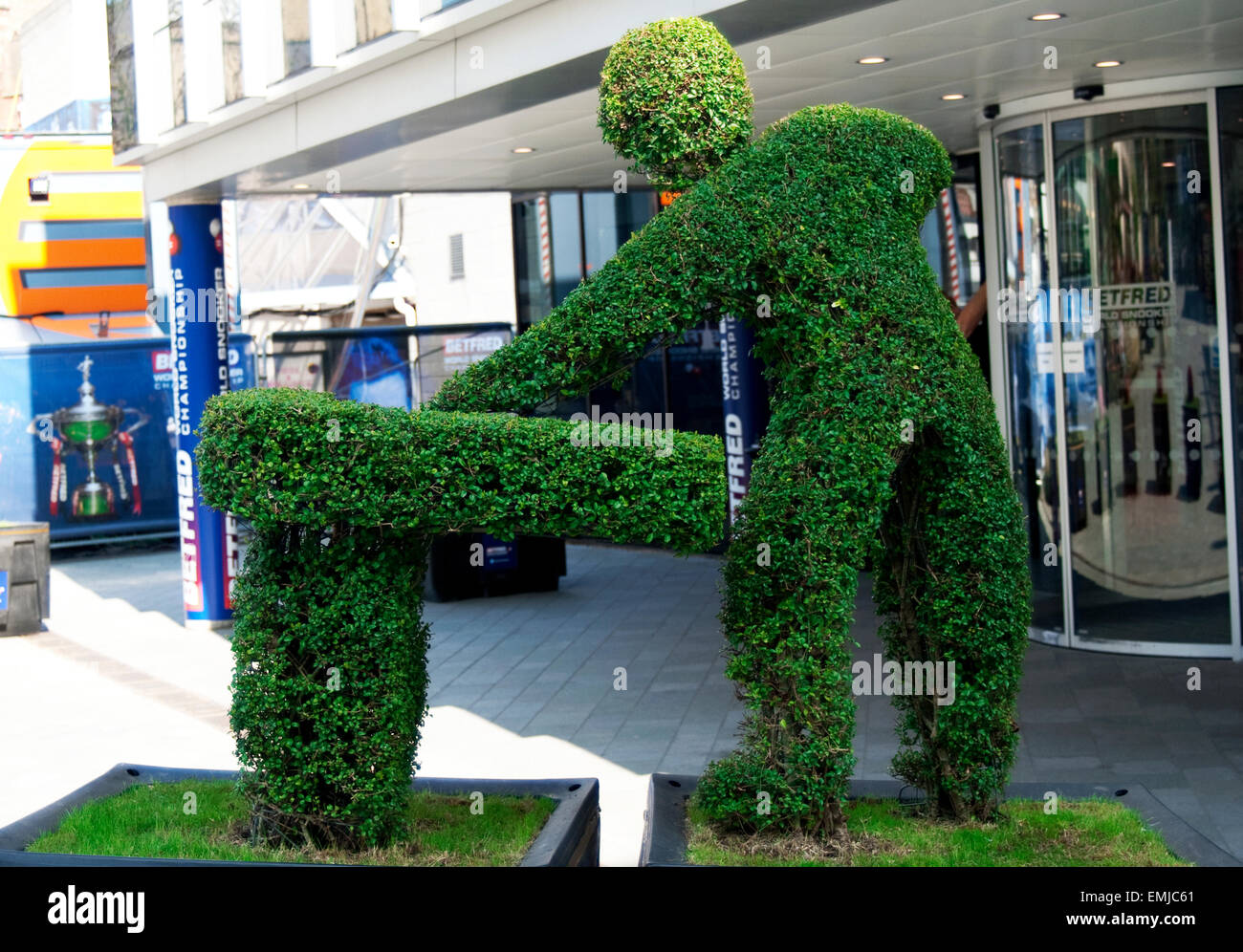 Sheffield, Regno Unito. Xxi Aprile, 2015. Topiaria da esterno di scultura del Crucible Theatre Sheffield South Yorkshire, dove la scommessa Fred 2015 World Snooker Championship avviene. La copertura è stata tagliata nella forma di un uomo sul green baize di un tavolo da biliardo a credito: Catherine Hoggins/Alamy Live News Foto Stock