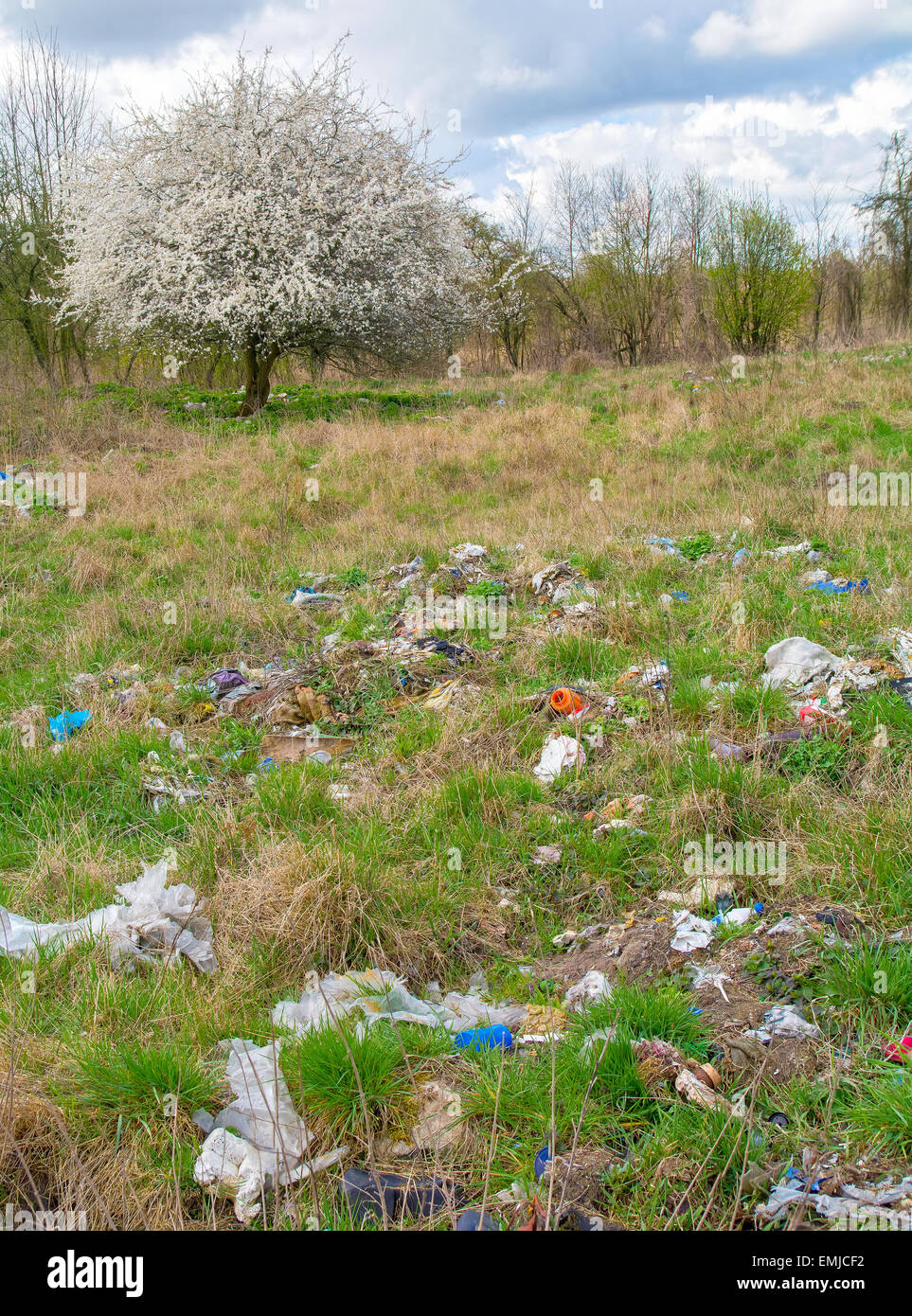 Discariche e albero Foto Stock