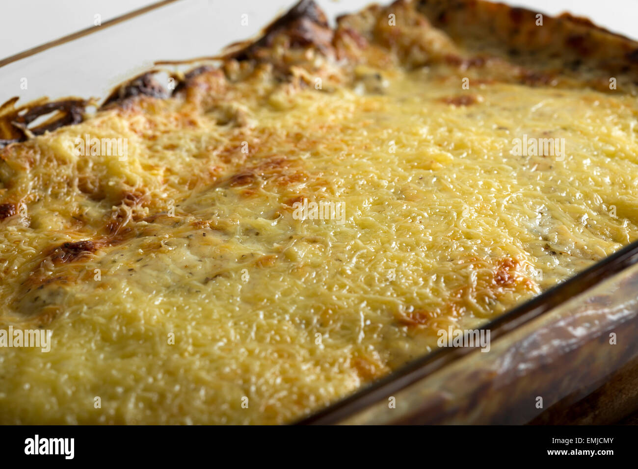 Close up cannelloni con salsa di pomodoro e formaggio nel vassoio Foto Stock