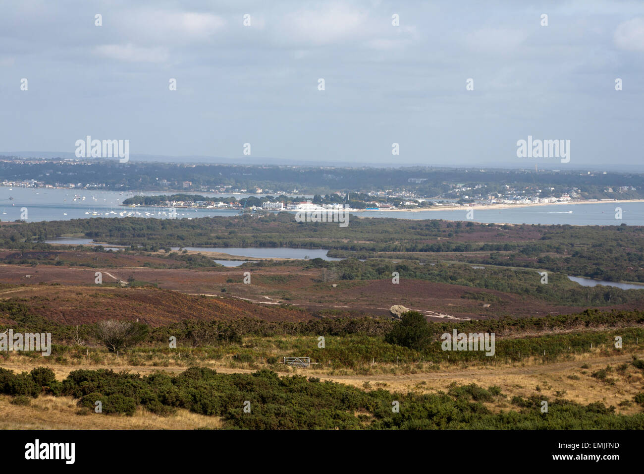 Il porto di Poole barene Poole e Studland dal vicino a nove Barrow all isola di Purbeck Dorset Inghilterra Foto Stock