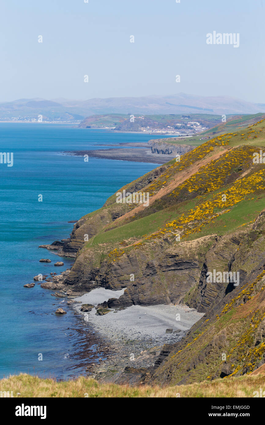 Guardando a Nord verso Borth e Aberystwyth dal Ceredigion Sentiero costiero Foto Stock