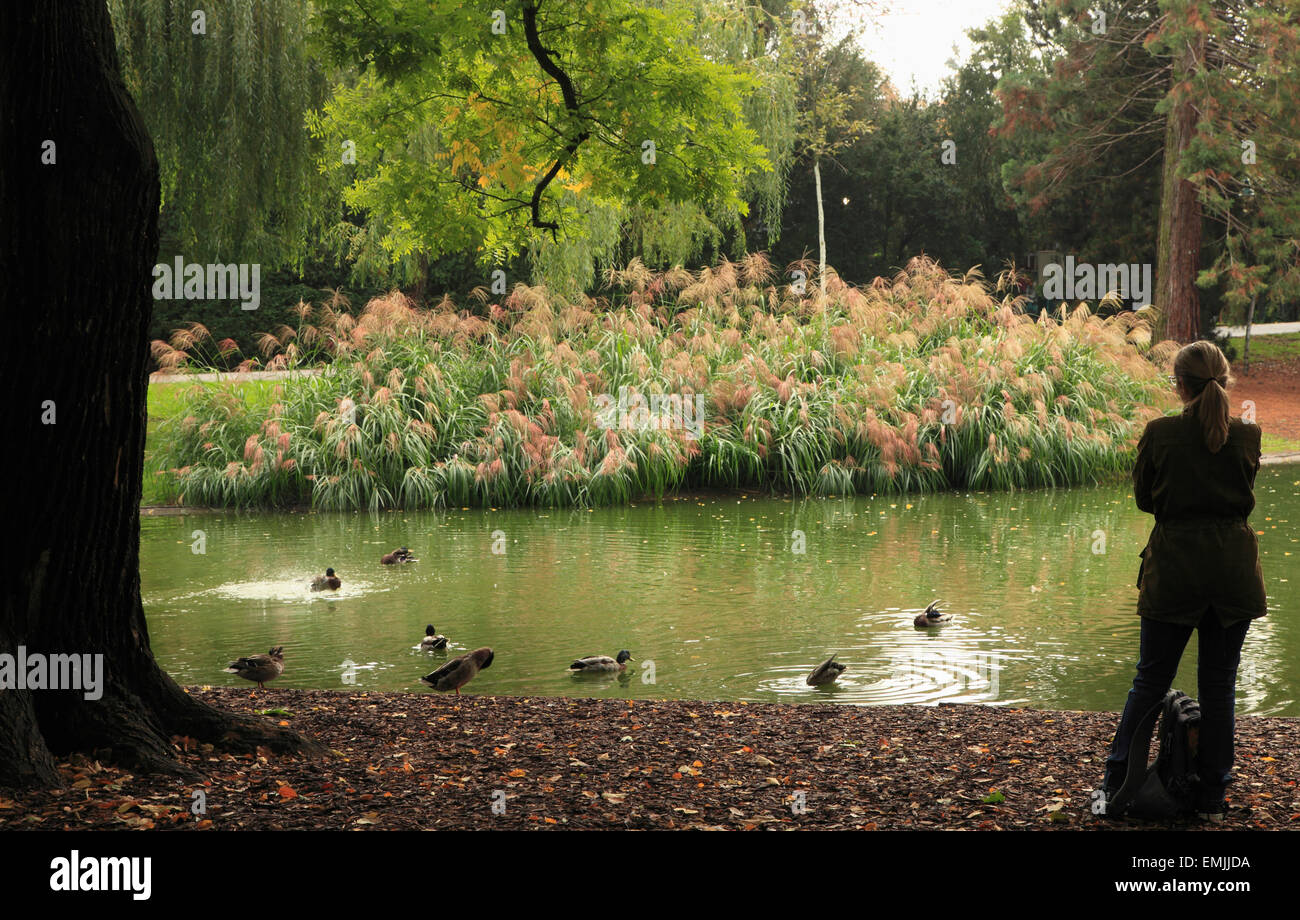 Austria, Vienna, Stadtpark, parco cittadino stagno, Foto Stock