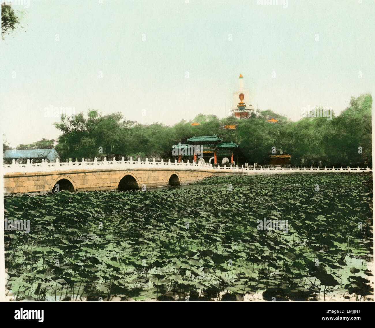 Lily Pond, Palazzo d'inverno, Beihei Park, Pechino, Cina, circa 1930 Foto Stock