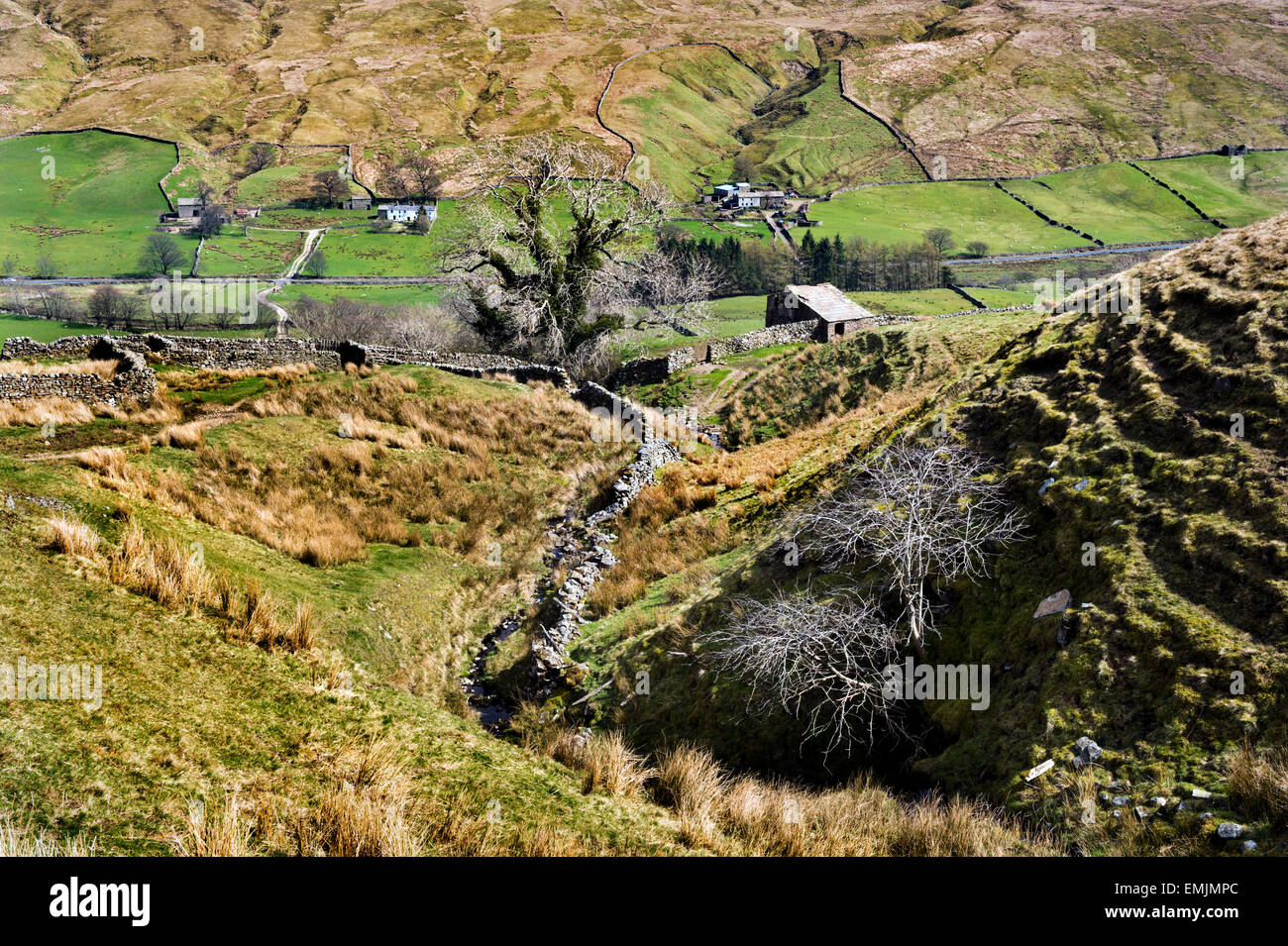 Guardando verso il basso la Pennine Bridleway a Hazelgill nell'area Mallerstang dell'Eden Valley, Cumbria Regno Unito. Foto Stock