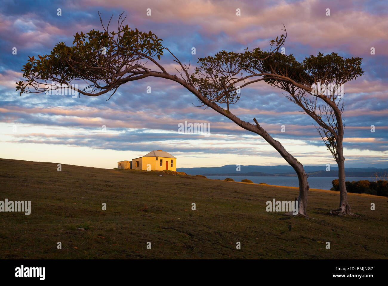 Caccia al Ruby's Cottage (circa 1920s) - Maria Island National Park - Tasmania - Australia Foto Stock