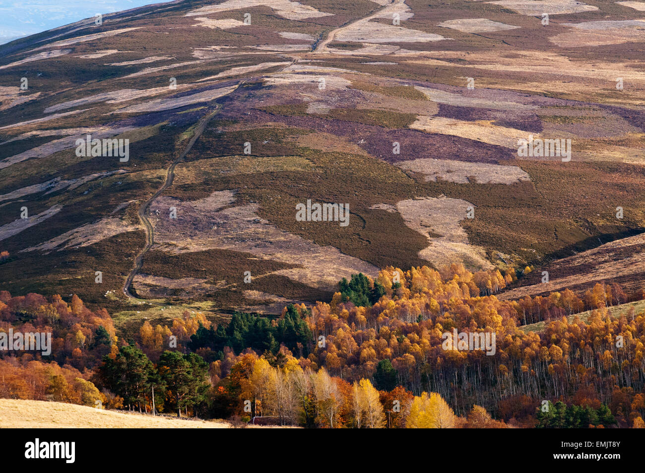 Cairngorms National Park in Scozia in autunno. Foto Stock