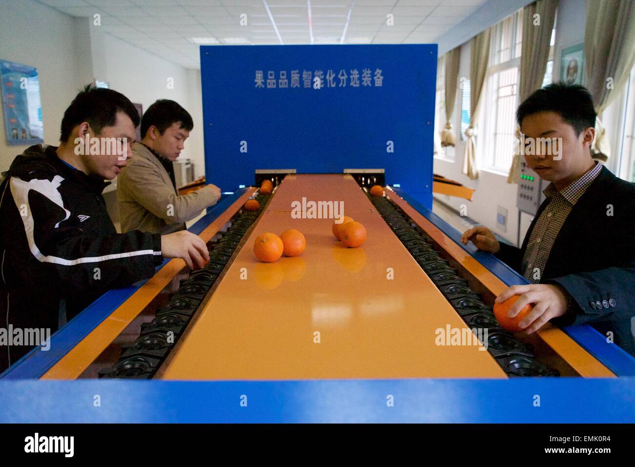Nanchang, cinese della provincia di Jiangxi. Xx Apr, 2015. Il personale dei lavoratori verificare il tenore di zucchero e di residui di pesticidi di Orange a est la Cina Jiaotong University di Nanchang, Cina orientale della provincia di Jiangxi, 20 aprile 2015. Un frutto intelligente rivelatore di smistamento con indipendente diritti di proprietà intellettuale è stato sviluppato dall'università. © Hu Chenhuan/Xinhua/Alamy Live News Foto Stock