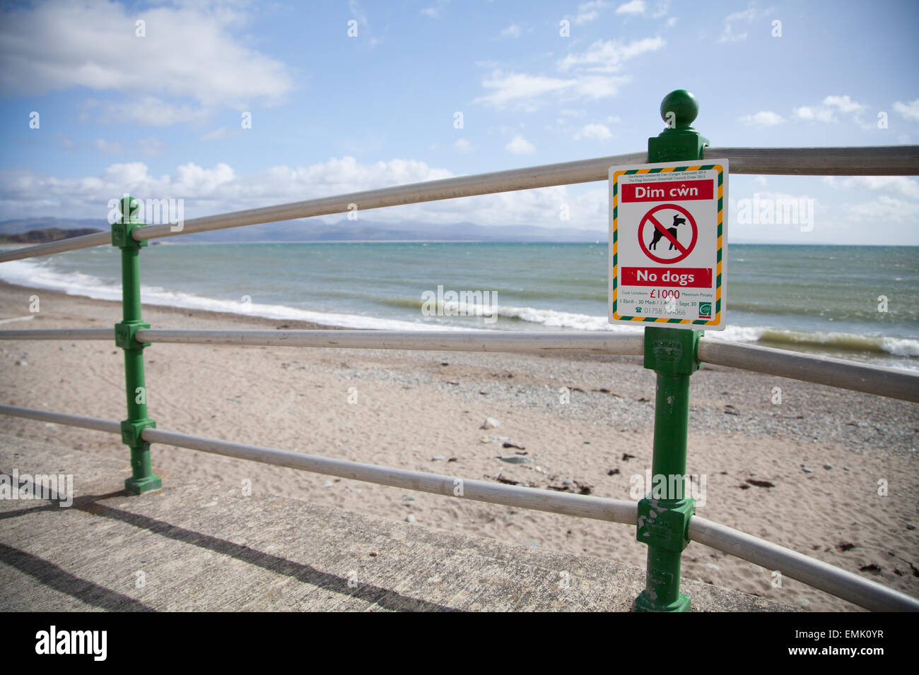 Welsh bilingue Inglese / segnaletica indicante stagionale zona cane divieto tra aprile e settembre a Criccieth beach Foto Stock