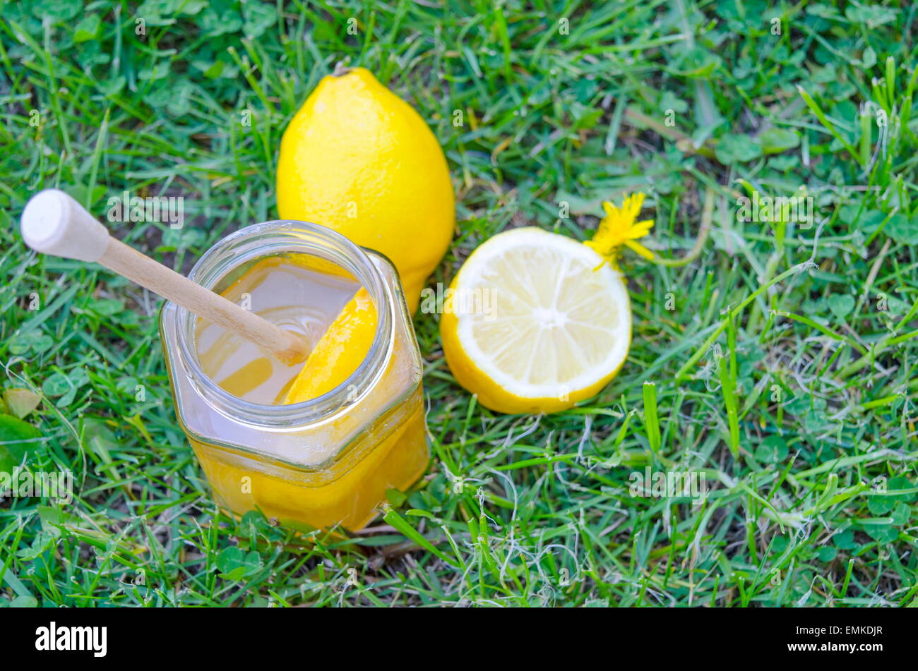 Un vasetto di miele, bilanciere, limone e il tarassaco in erba Foto Stock