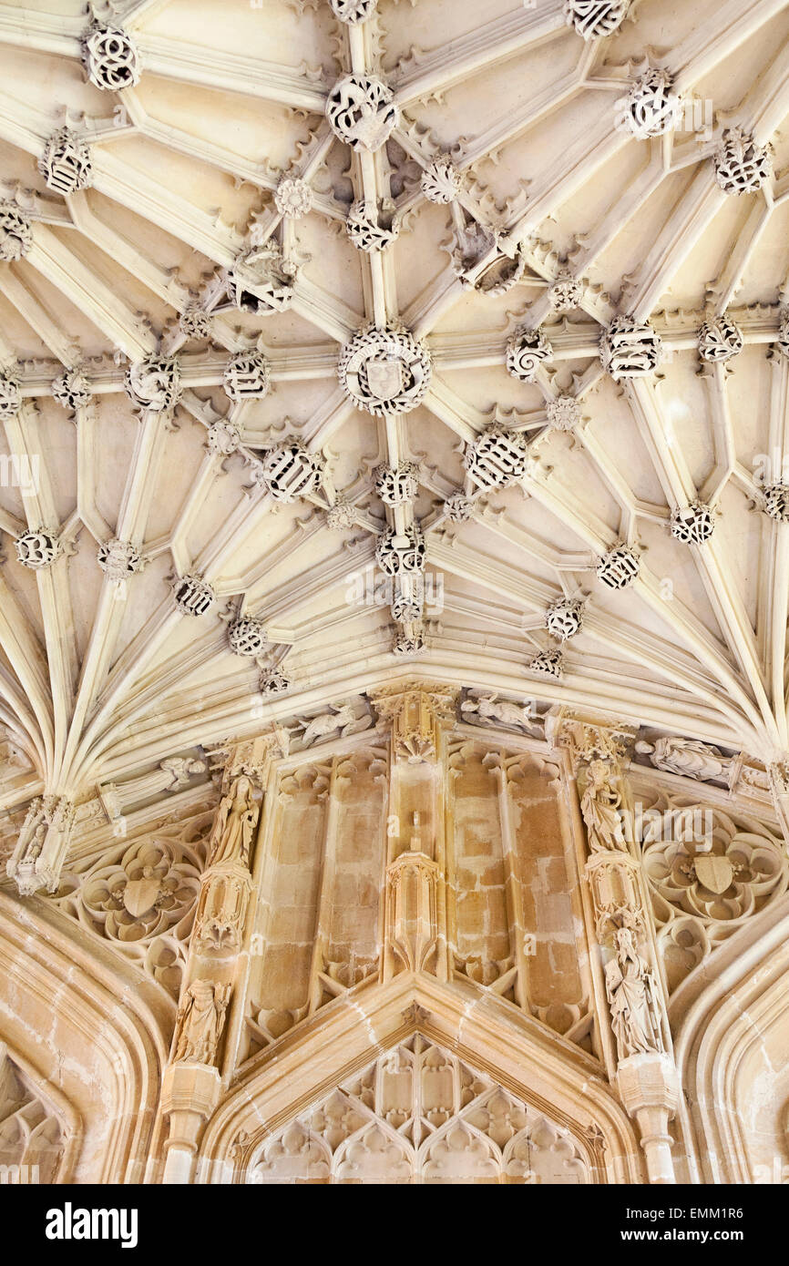Soffitto ornato, 'Divinity School', [Bodleian Library], Oxford, England, Regno Unito Foto Stock