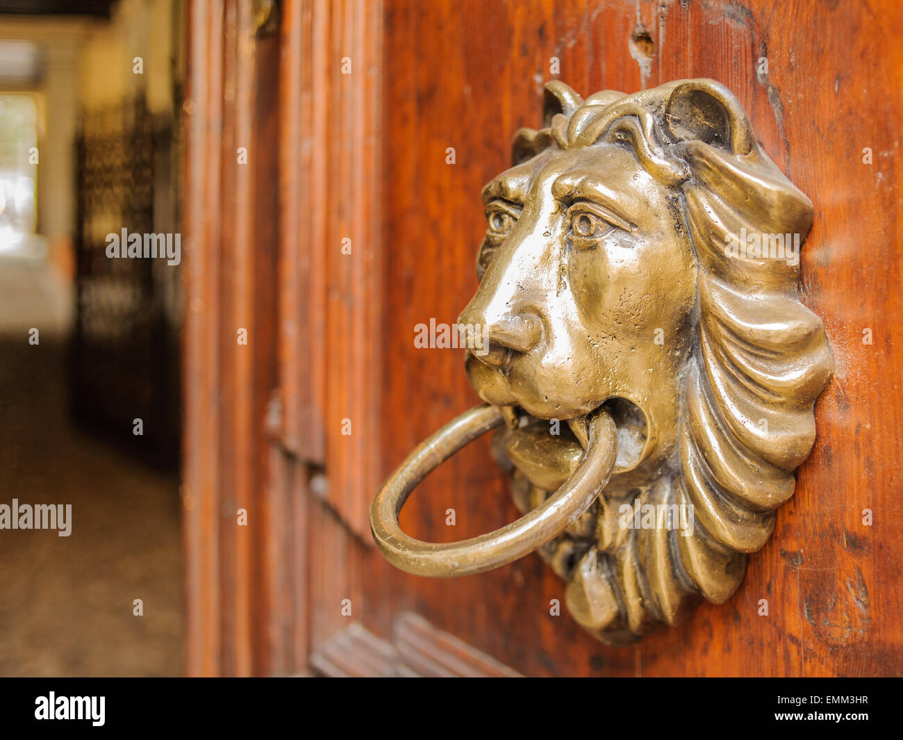 Respingente testa di leone su una porta di legno Foto Stock