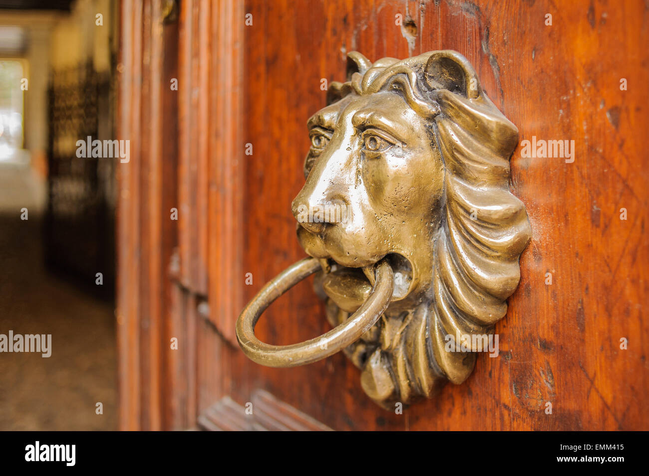 Respingente testa di leone su una porta di legno Foto Stock