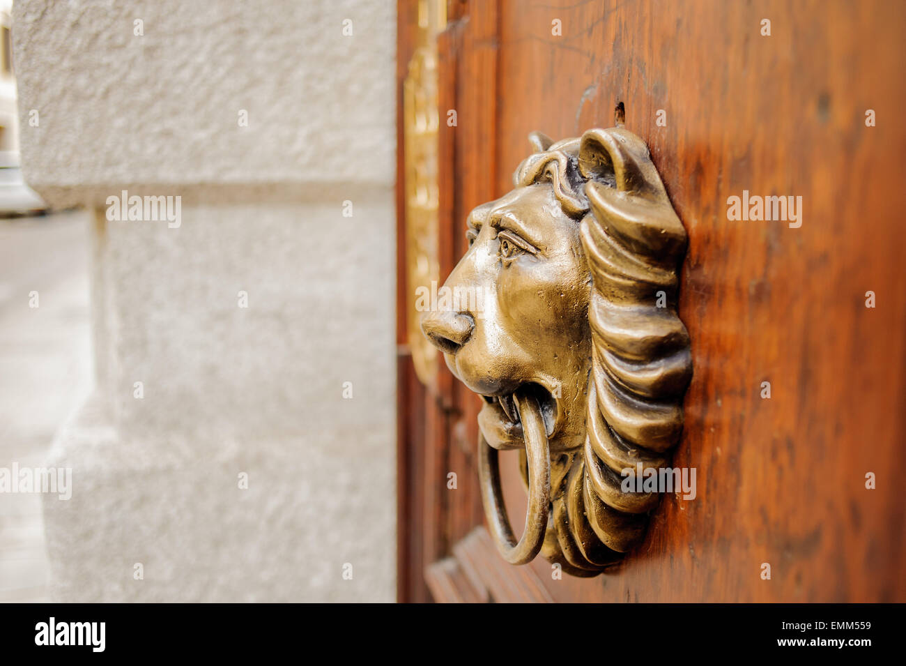 Respingente testa di leone su una porta di legno Foto Stock