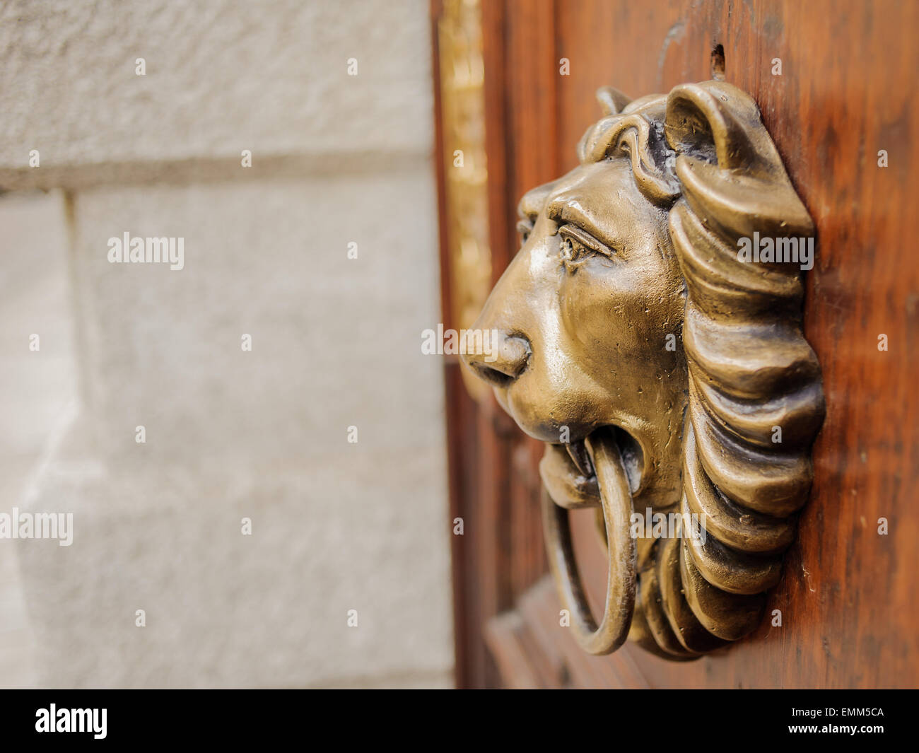 Respingente testa di leone su una porta di legno Foto Stock