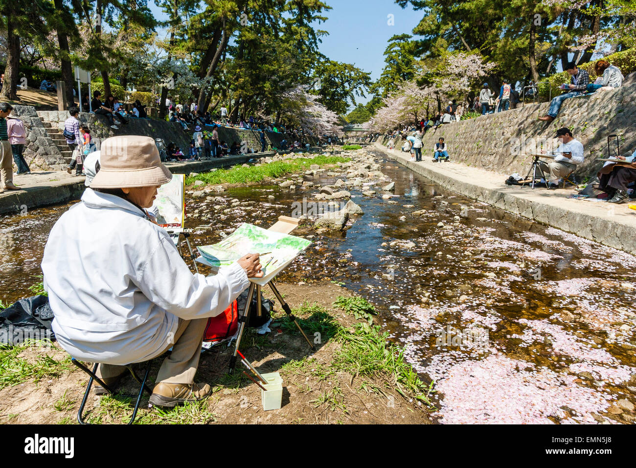 Uomo anziano seduto a dipingere su un cavalletto su una piccola isola in un fiume stretto in sole luminoso durante la stagione dei ciliegi in fiore in un luogo di bellezza locale. Foto Stock