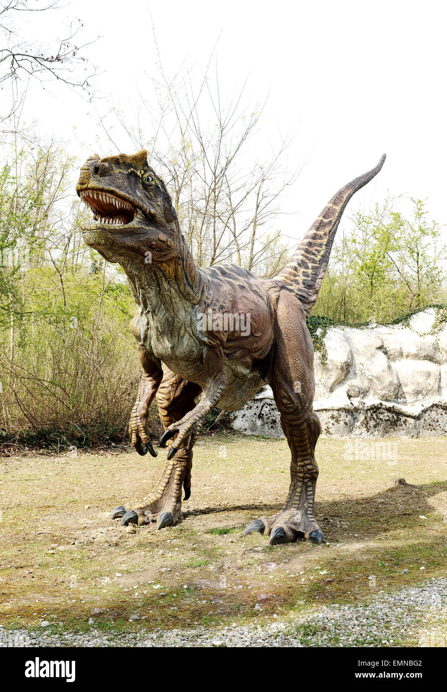 Vista frontale del Giurassico Saltriosaurus dinosauro carnivoro modello nella preistoria il parco a tema Foto Stock