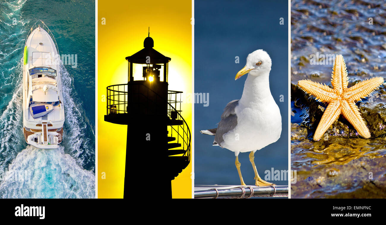 Mare Adriatico collage - yacht, faro, seagull e stelle marine Foto Stock