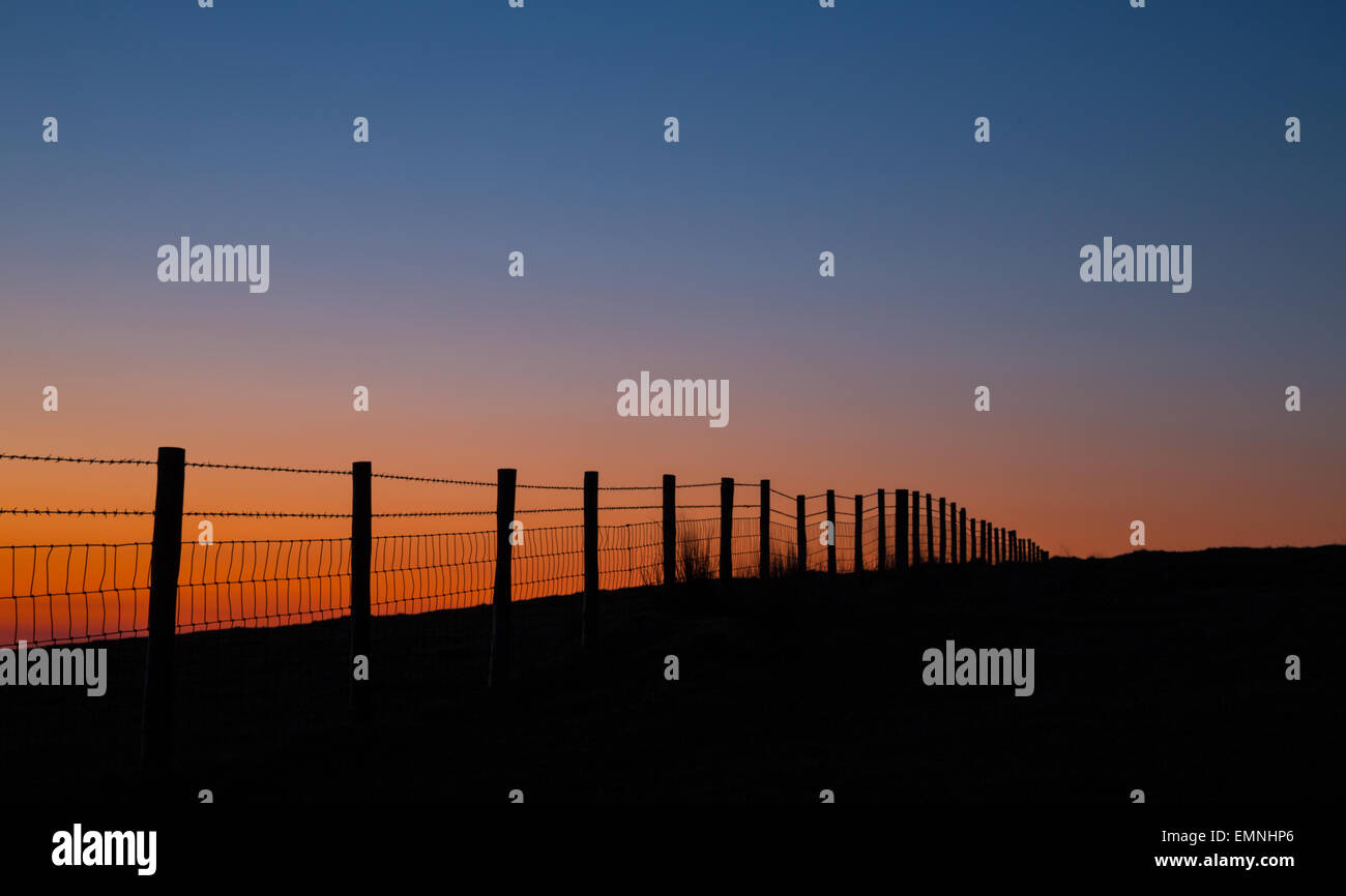 Fenceline su Bodmin Moor retroilluminati da Sun Foto Stock