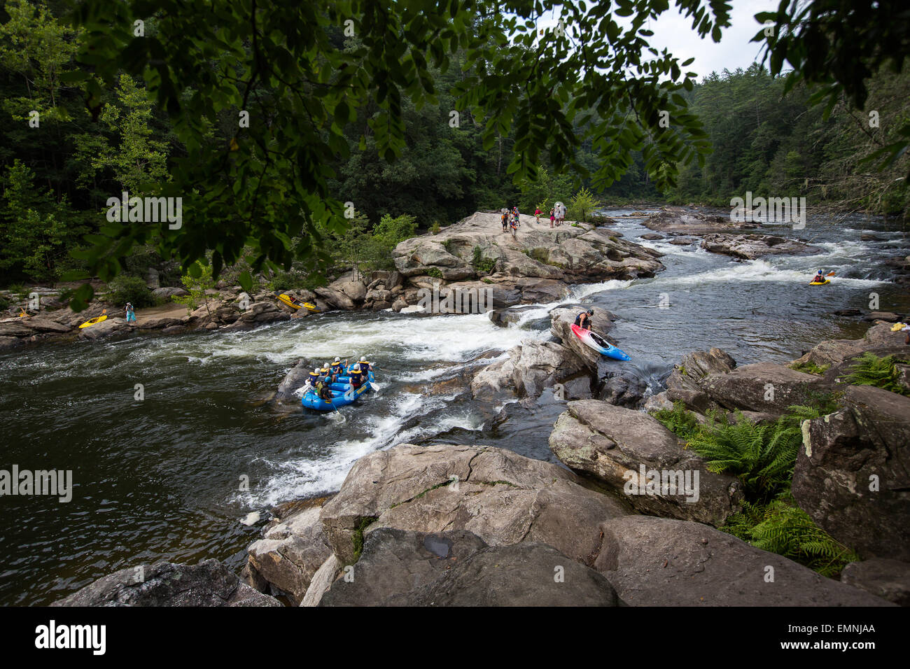 Bull Sluice rapids sul fiume Chattooga. Foto Stock