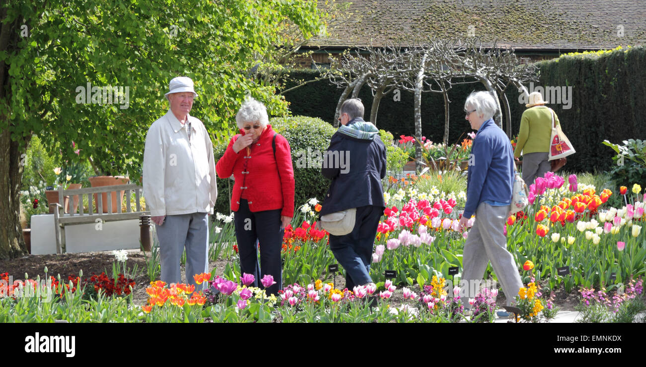 Wisley Gardens, Surrey, Inghilterra, Regno Unito. Il 22 aprile 2015. La sorprendente display di oltre 350 varietà di tulipani che sono stati piantati nel novembre 2013 per creare il nuovo Wisley Tulip Garden. Il 14.000 lampadine saranno in fiore da ora fino ai primi di maggio, la creazione di un display a colori. Credito: Julia Gavin UK/Alamy Live News Foto Stock