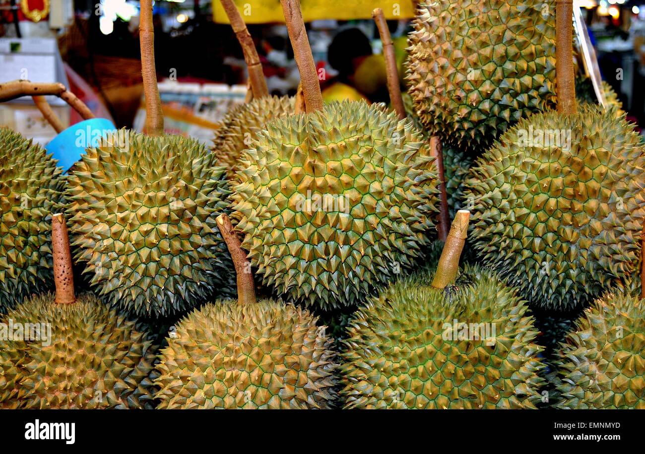 Bangkok, Thailandia: un display di esotica Durians, il cosiddetto re di frutti, in corrispondenza di un fornitore di supporto o di Tor Kor Market Foto Stock