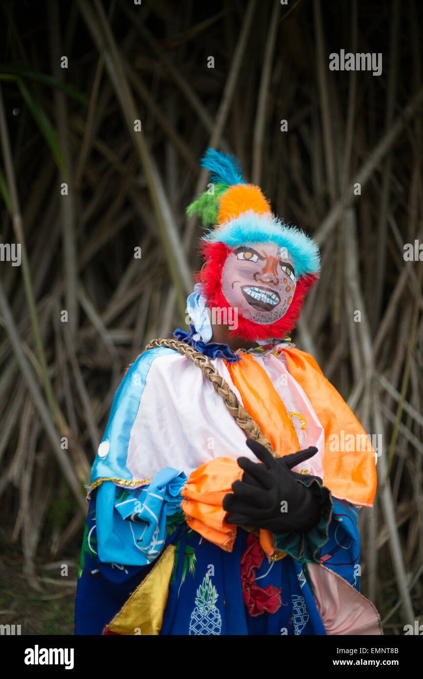 Spettacolo Culturale di ballerini Masquerade, in Saint Kitts e Nevis, nei Caraibi. Foto Stock