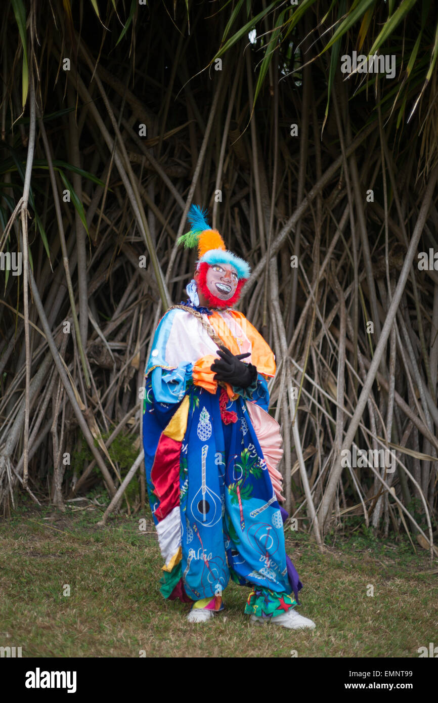 Spettacolo Culturale di ballerini Masquerade, in Saint Kitts e Nevis, nei Caraibi. Foto Stock