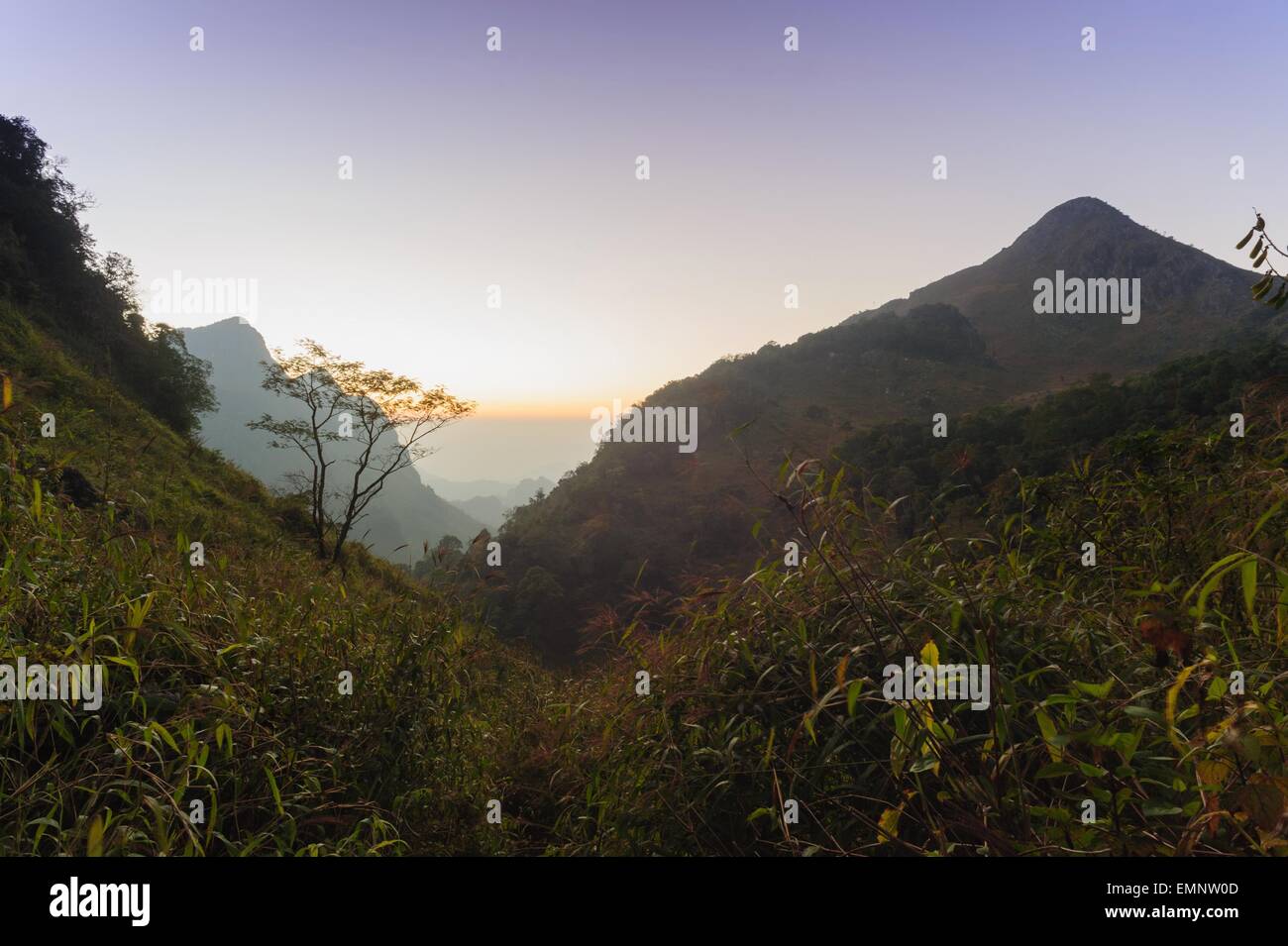 Bella crepuscolo al tramonto nella foresta pluviale, Thailandia. Foto Stock