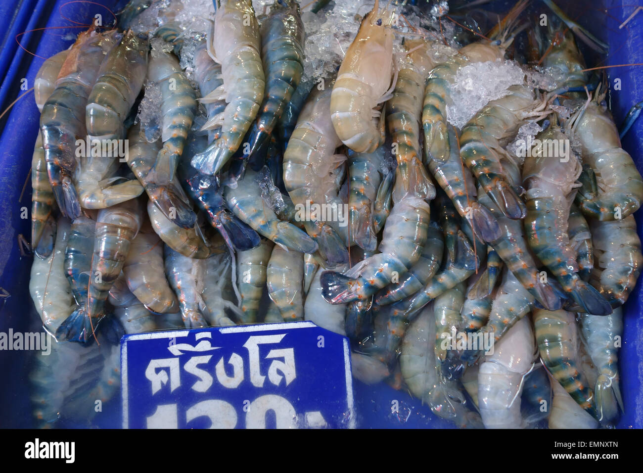 Re gamberi di fiume su un fresco in stallo a Bangkok mercato alimentare, Thailandia Foto Stock
