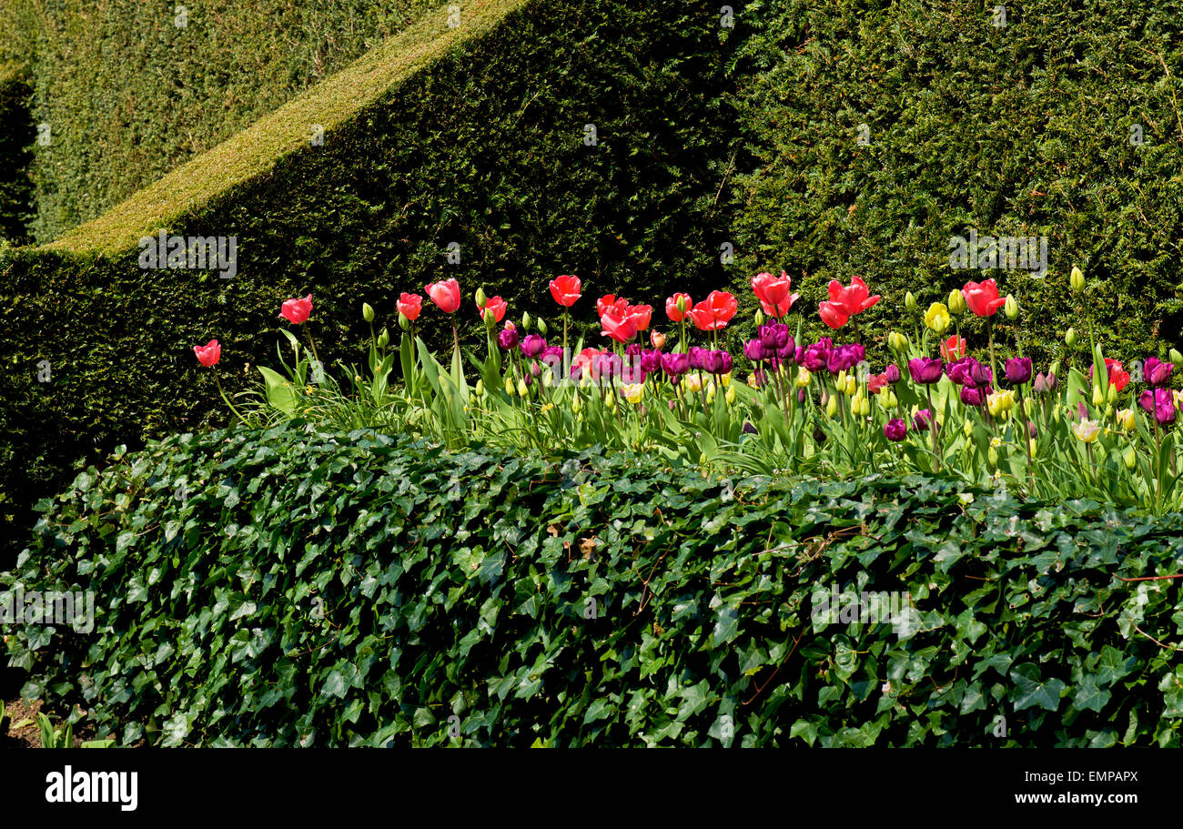 I giardini di Biddulph Grange, una proprietà del National Trust vicino a Stoke-on-Trent, Staffordshire, England Regno Unito Foto Stock