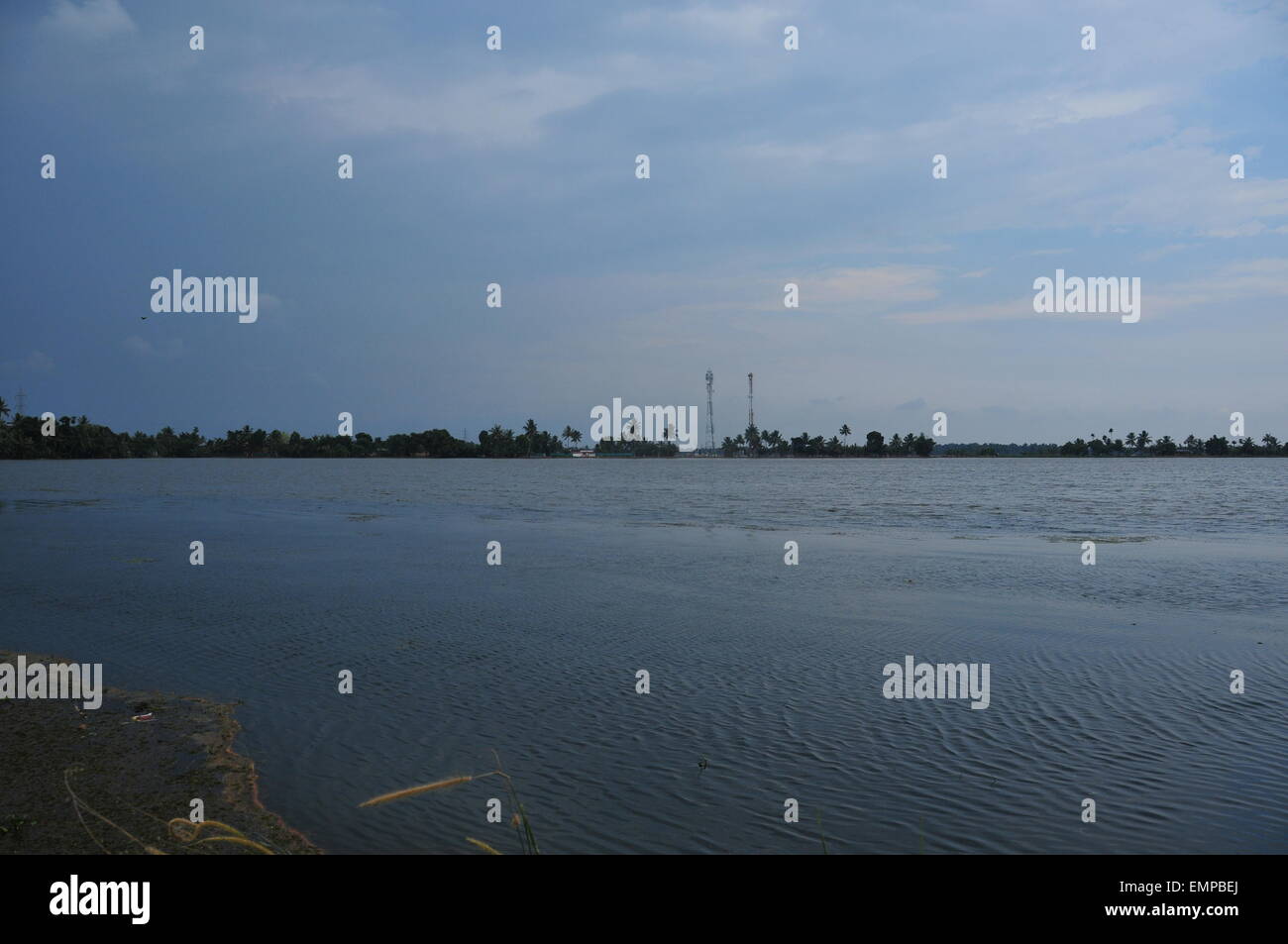 Splendida vista delle acque e delle piante di cocco Foto Stock