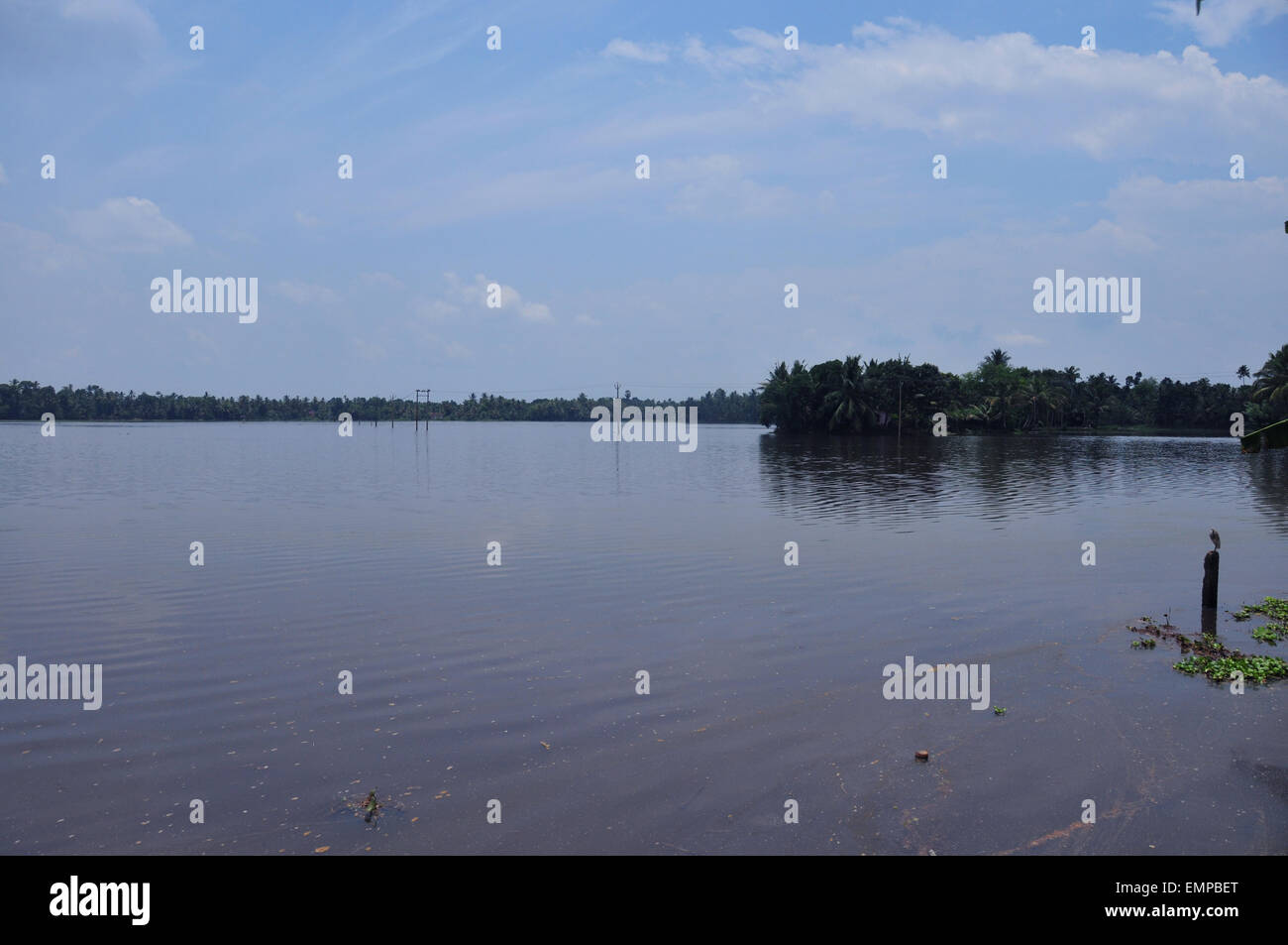 Splendida vista delle acque e delle piante di cocco Foto Stock