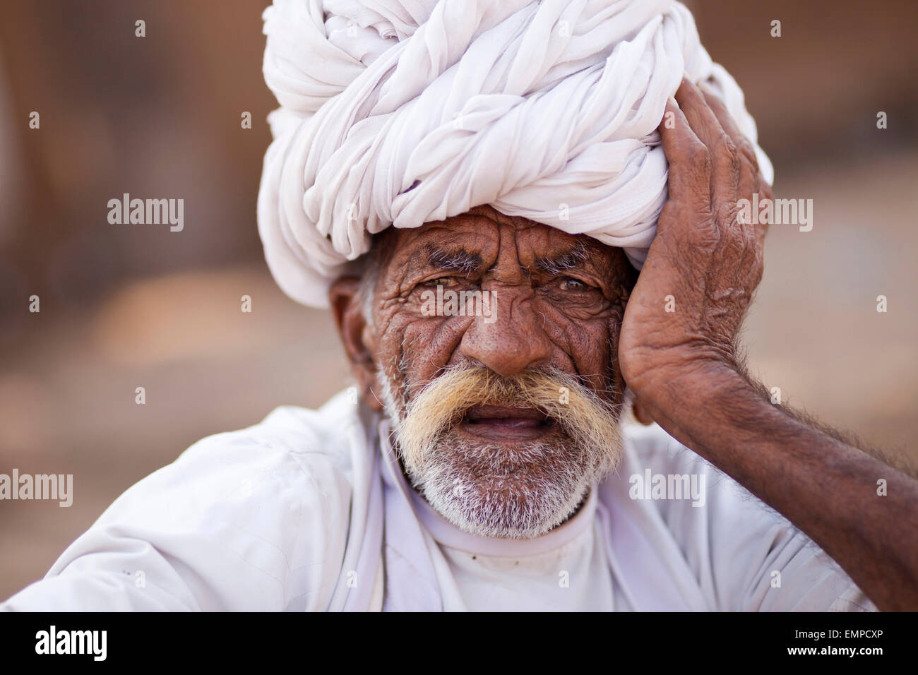 Ritratto di un senior del Rajasthan, l uomo con la barba e il turbante, Pushkar, Rajasthan, India Foto Stock