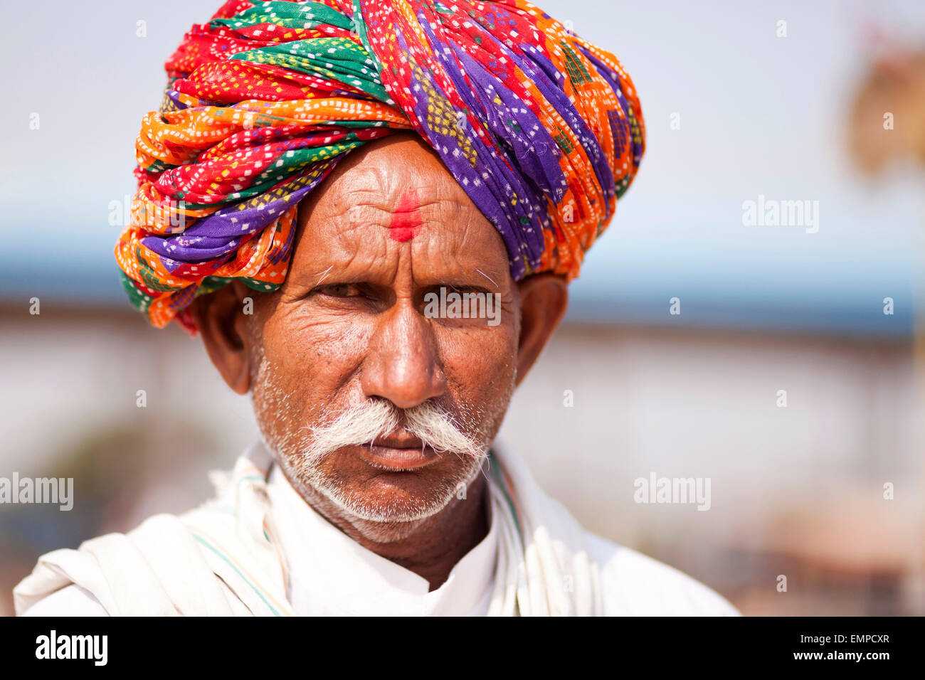 Ritratto di un senior del Rajasthan, l uomo con la barba e il turbante, Pushkar, Rajasthan, India Foto Stock